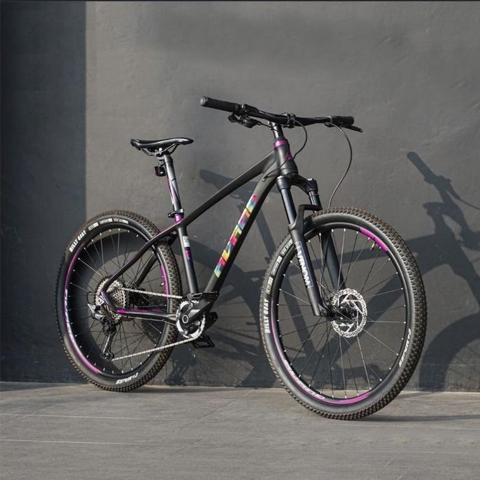 Sepeda Gunung MTB AVAND REIGATE 27.5 Inch Alloy 12 Speed Hidrolik - GY SLV - BK VL