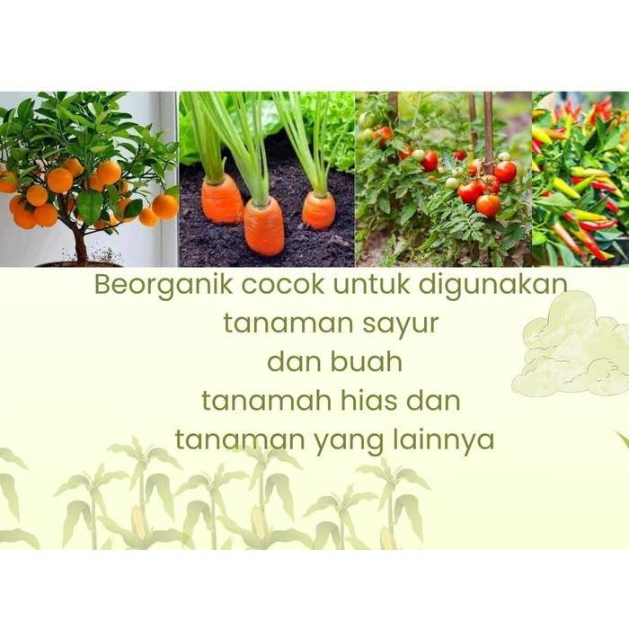 "New" Beorganik Pembasmi hama Tanaman, Organik, Pestisida, Ulat, Kutu Putih, Hama Daun, Semut,