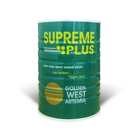 Artemia Supreme Plus Golden West 20 gram Gratis Ongkir