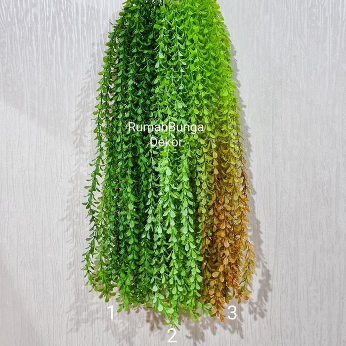 Daun Rambat Lee Kwan Yew Daun Plastik Daun Artificial