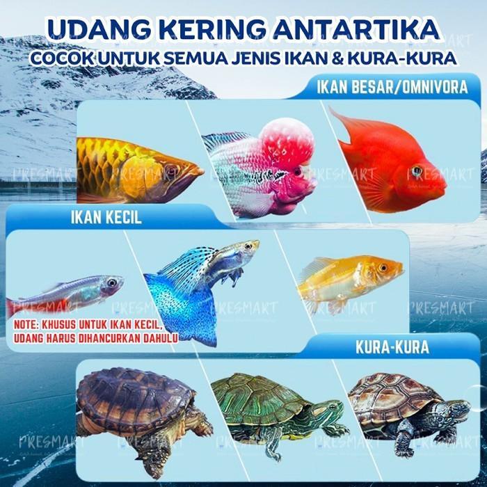 UDANG KERING PREMIUM PAKAN IKAN / PAKAN KURA KURA /PAKAN ARWANA LOUHAN