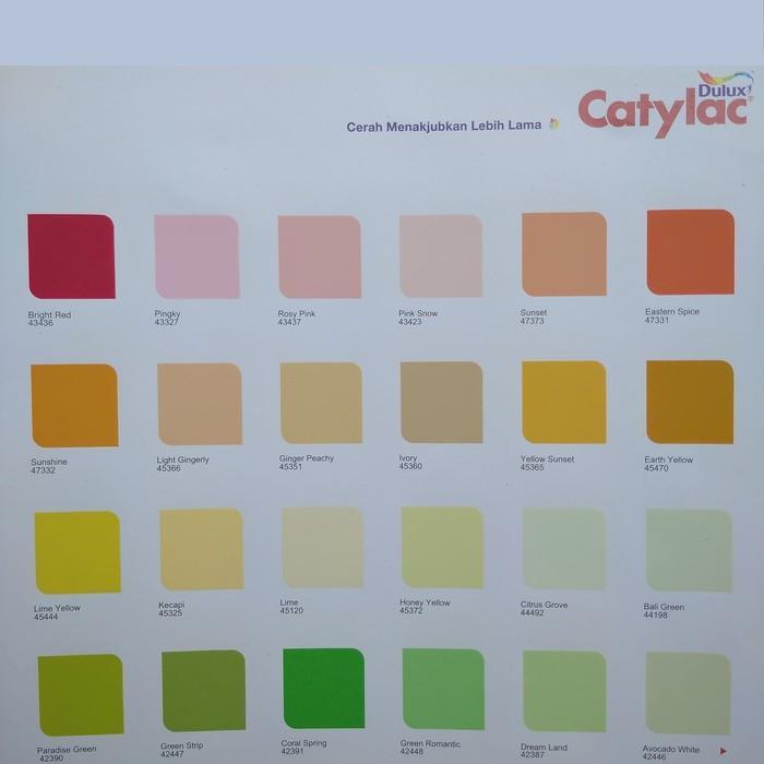 Cat Tembok Catylac 25 Kg Tbk