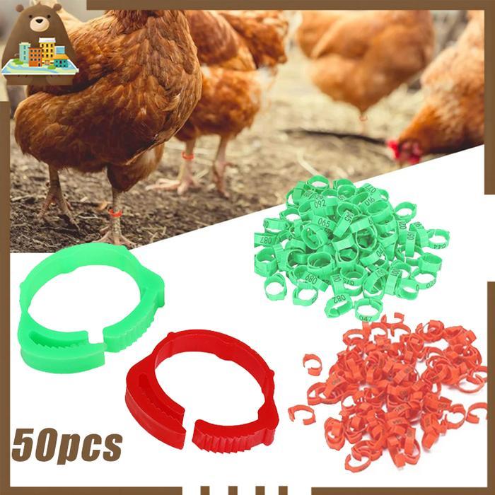 Terlaris 50pcs Cincin Kaki Ayam Cincin Kaki Ayam Bangkok Ring Ayam Bangkok Gelang Penanda Ayam