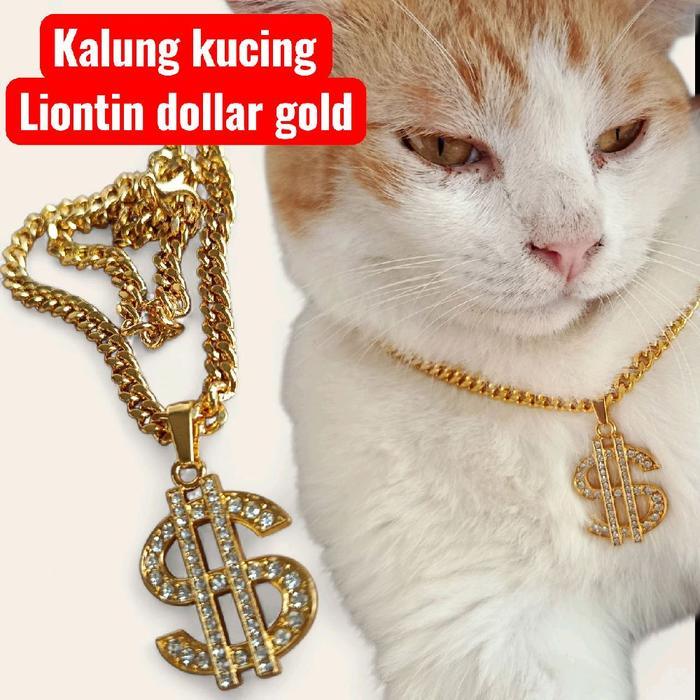 kalung kucing kalung hewan kalung anjing rantai logam warna emas liontin dollar