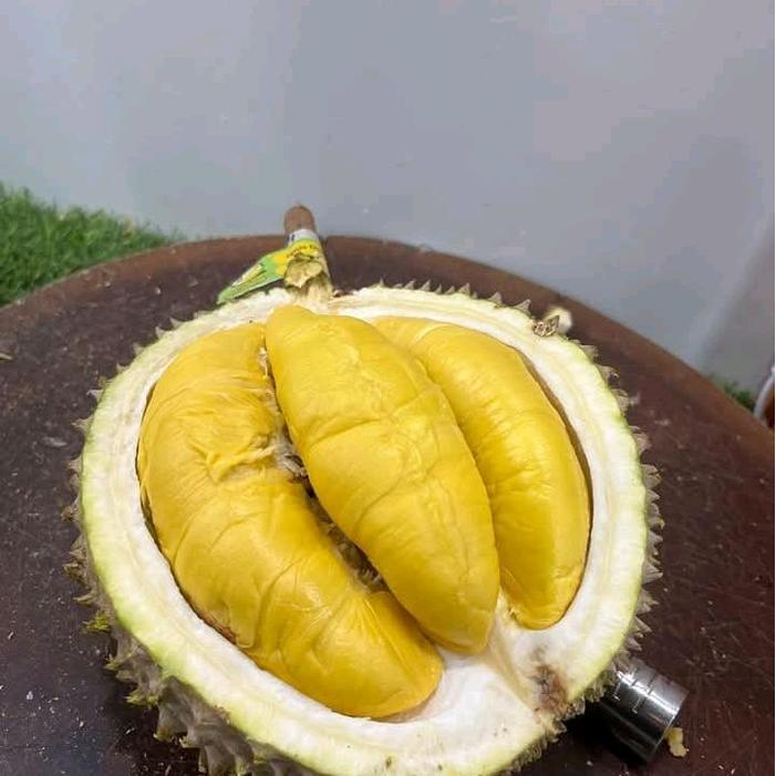Durian Musangking RI Super premium matang pohon Fresh utuh