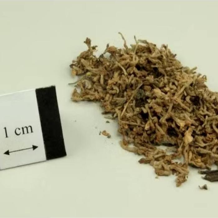300 G 600 GR GRAM BAI YUAN HUA GENKWA FLOWER FLOS DAPHNIS GENKWAE