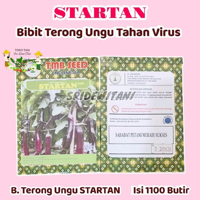 Bibit Terong Ungu Tahan Virus STARTAN 1100 Butir TMB SEED Setara Benih TM SPARTAN
