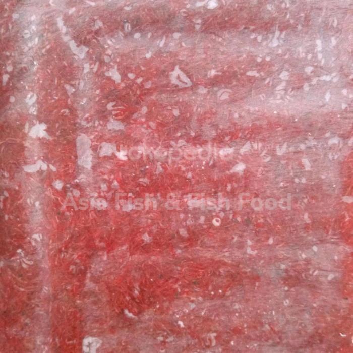 CACING BEKU CACING BW CACING DARAH