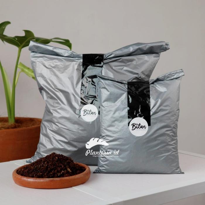 Media Tanam Monstera Philodendron Media Tanam Monstera Ajaib 2 Kg