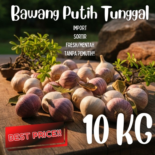 Bawang Putih Tunggal Lanang 10 KG