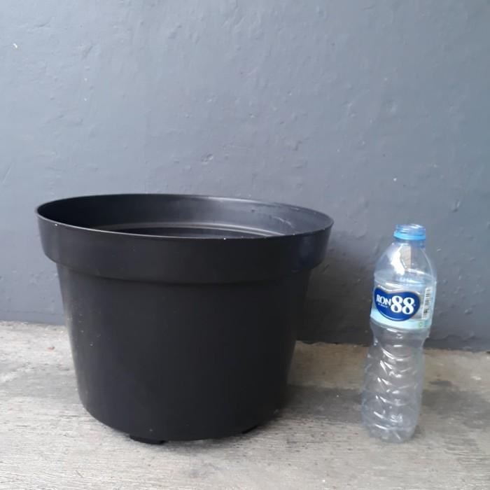 NEWW pot hitam 35, pot plastik hitam 35, tabulapot, pot murah meriah