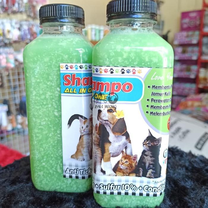 Shampo kucing All in one shampo jamur