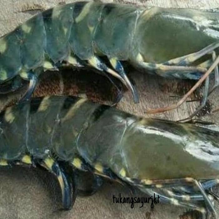 Udang pacet jumbo besar size 25-30 /500g