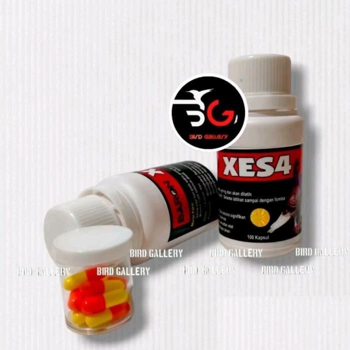 Jamu Merpati Xes4 10 Butir Makanan Hewan Baron Xes4