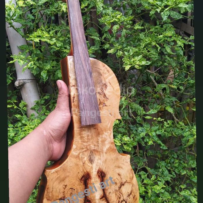 elektrik violin biola
