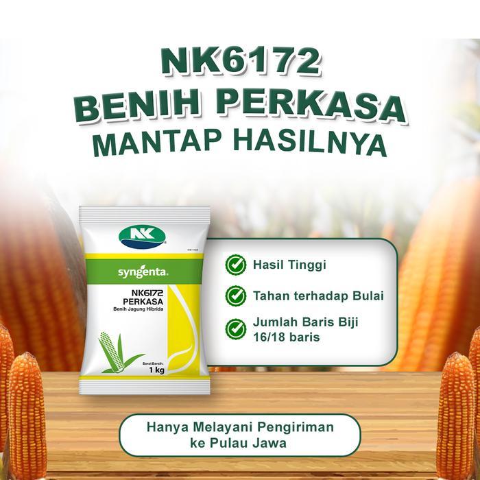 Premium Benih Jagung Nk 6172 Nk Perkasa - 1Kg Original