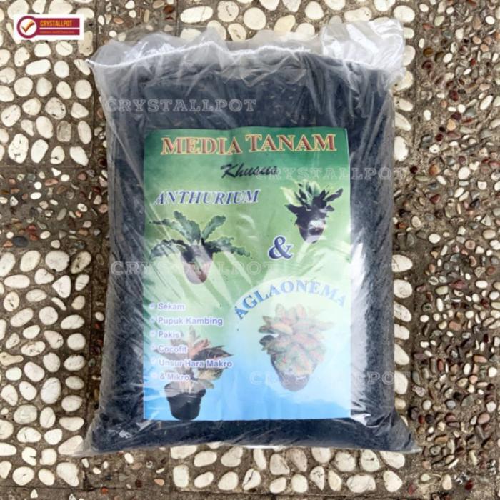 NEWW MEDIA TANAM ORGANIK KHUSUS ANTHURIUM AGLAONEMA SIAP PAKAI - AGLAONEMA ANTHURIUM
