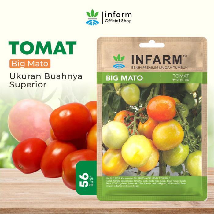 INFARM - Benih Bibit Unggul Tomat Buah Bibit Tomat Big Mato Bibit Tomat Buah Besar Benih Tomat Biji