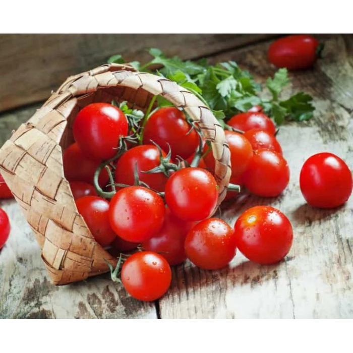 50 Biji Tomat Cherry Chung Tomat Cherry Benih Tomat Mini