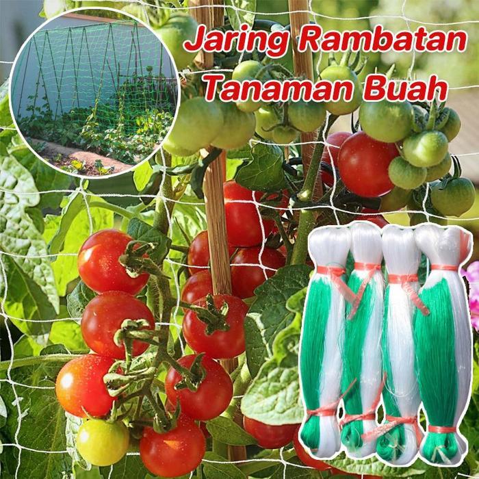 2M X 100M Jaring Rambatan Tanaman Buah Merambat Plant Climbing Net Jaring Pagar Ayam Kebun Lanjaran