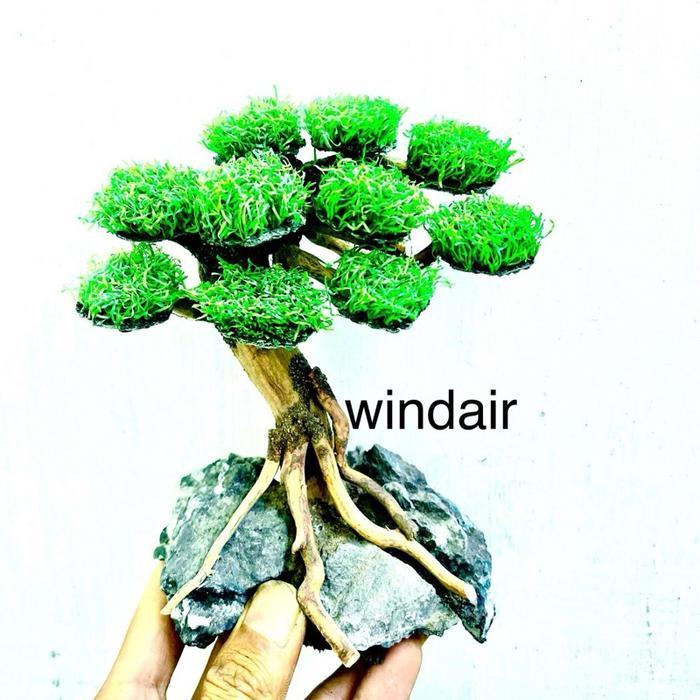 pohon bonsai sintetis mini aquarium