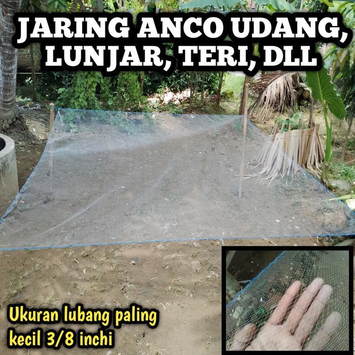 ASLI Sirib ikan / jaring anco lubang 3/8 inchi untuk udang, lunjar, teri READY STOCK