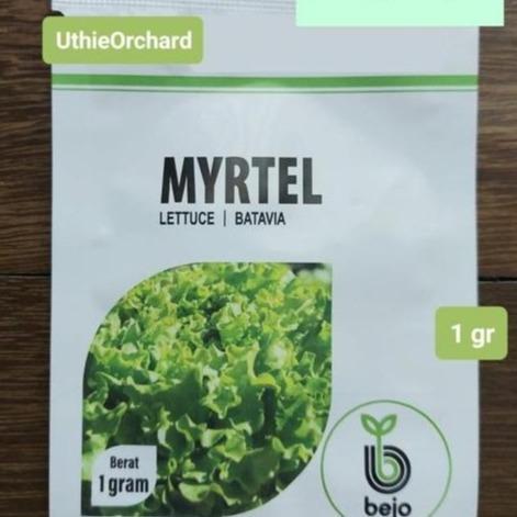 Benih Bejo Seed - Selada Batavia Myrtel Kemasan asli 1 gr
