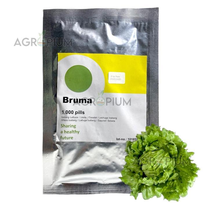 Benih Selada BRUMA RZ Isi 1000 Pills Iceberg Lettuce Rijk Zwaan