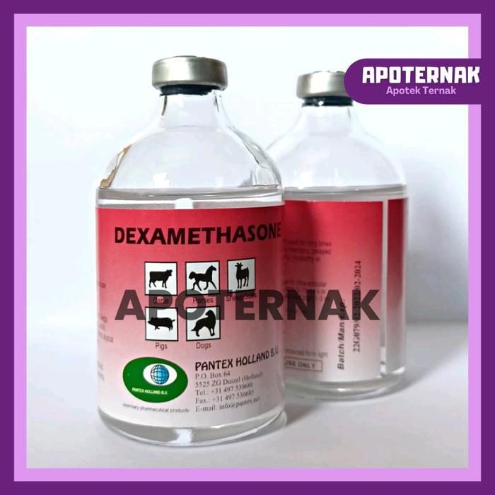 PANTEX DEXAMETHASONE 100 ML - OBAT INJEKSI ATASI LUMPUH PINCANG BENGKAK CEDERA PADA SAPI KAMBING
