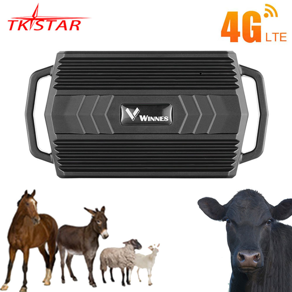 TKSTAR 4G GPS Tracker Animal For Cow Camel TKSTAR 4G TK935 3000mAh GPS Locator Waterproof GPS