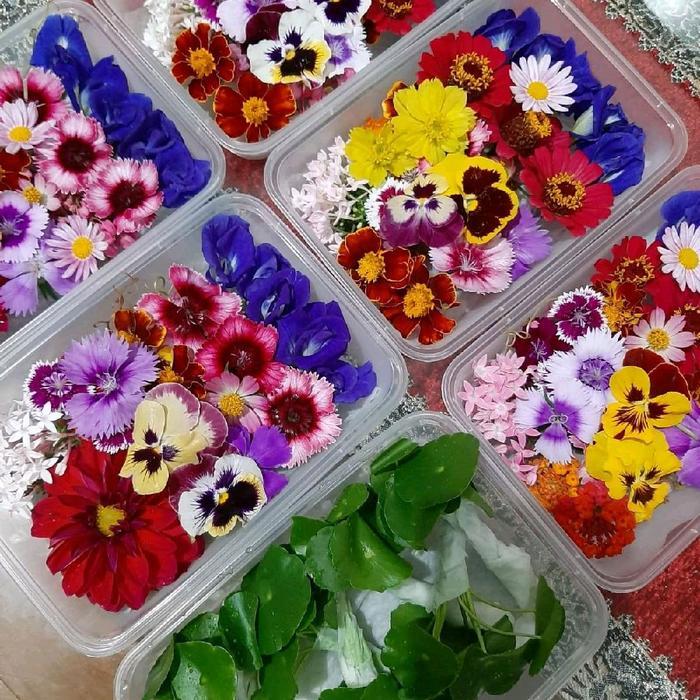 EDIBLE FLOWERS / EFIBLE FLOWER / MIXED EDIBLE FLOWER