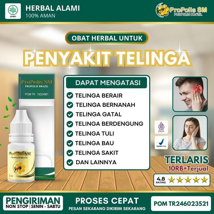 Propolis Sm Tetes Telinga Radang Telinga Infeksi Telinga Pendengaran Meredam Telinga Bernanah