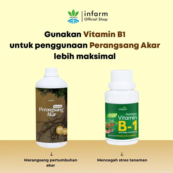 INFARM Nutrisi Tanaman Nutrisi Akar Vitamin Akar Subur Hormon Organik Tanaman Stek Nutrisi Tanaman
