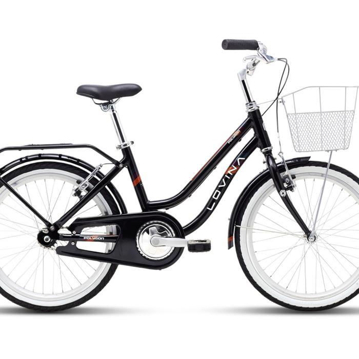 Sepeda Mini Keranjang Polygon Lovina 20 Inch