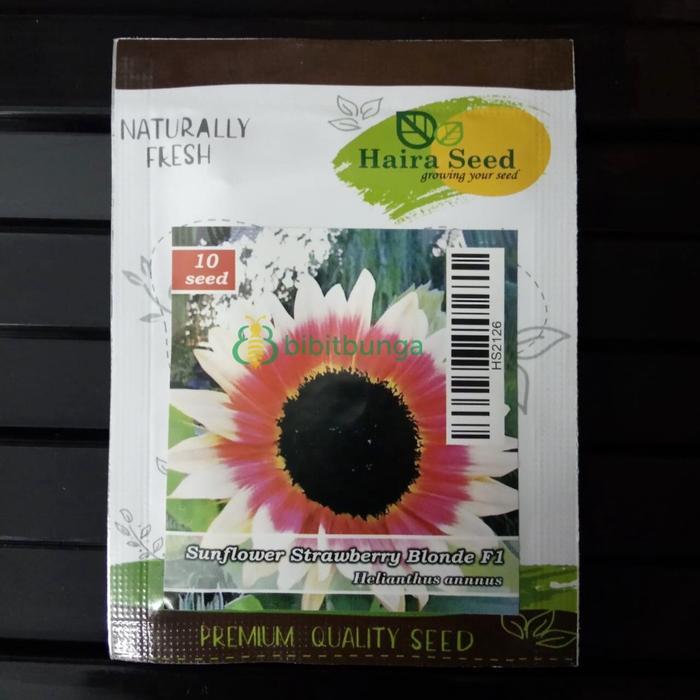 }}}}}}] Benih Biji Bibit Sunflower Strawberry Blonde F1 Bunga Matahari Haira