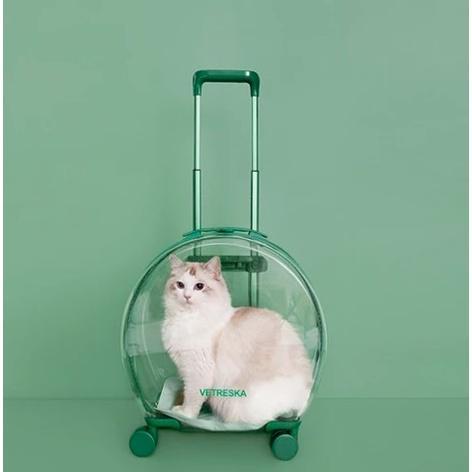 Tas Transparan Kucing Anjing Trolley Cargo Travel Bag Cat Dog Koper
