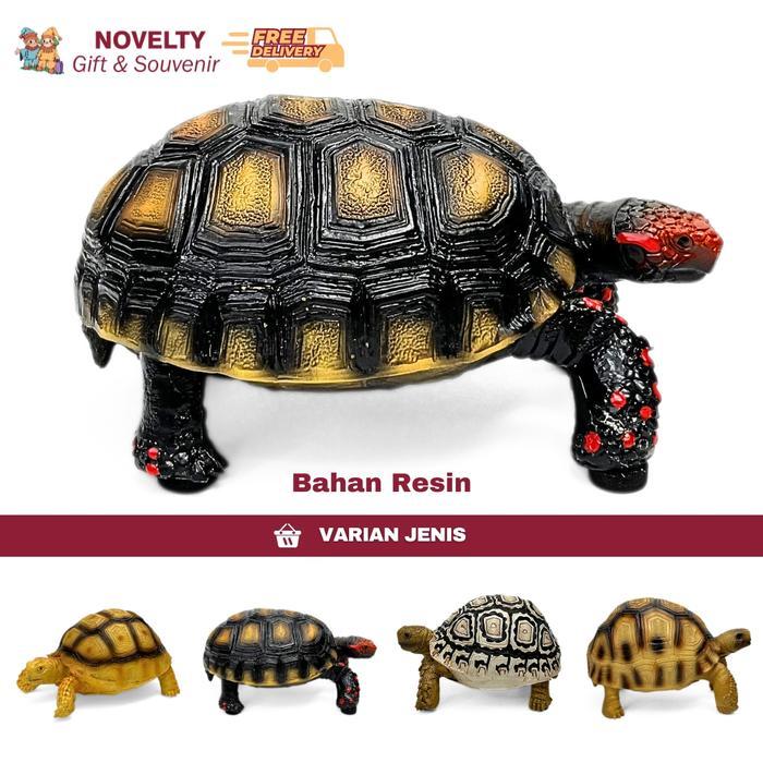 Souvenir replika kura kura cherry head red footed tortoise dari amerika latin