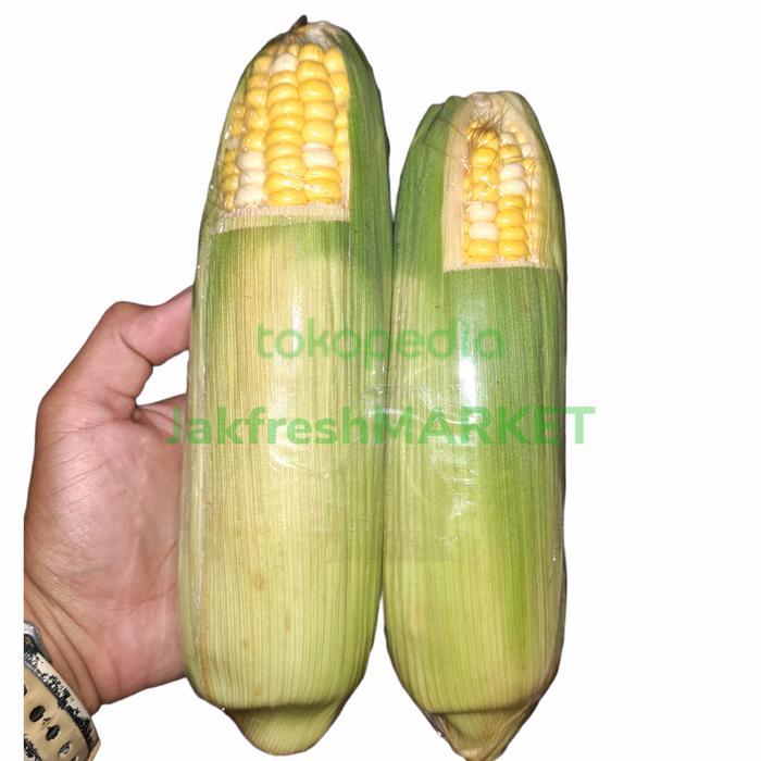 jagung hokkaido tomorokoshi jepang Sweet, crunchy & Juicy isi 2pcs