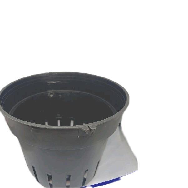 Pot Gantung 16 cm Bunga Anggrek Cattleya Bulan Dendro Vanda Plastik