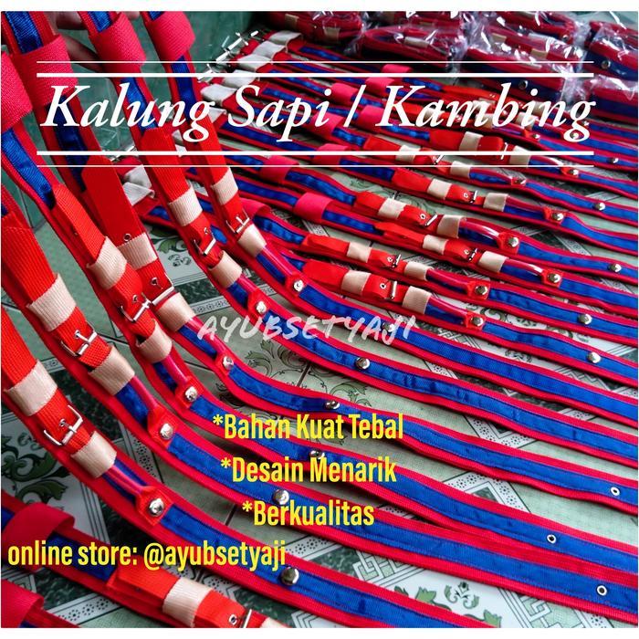 Premium Kalung Sapi Kalung Hewan Ikat Leher Sapi Tali Sapi Original