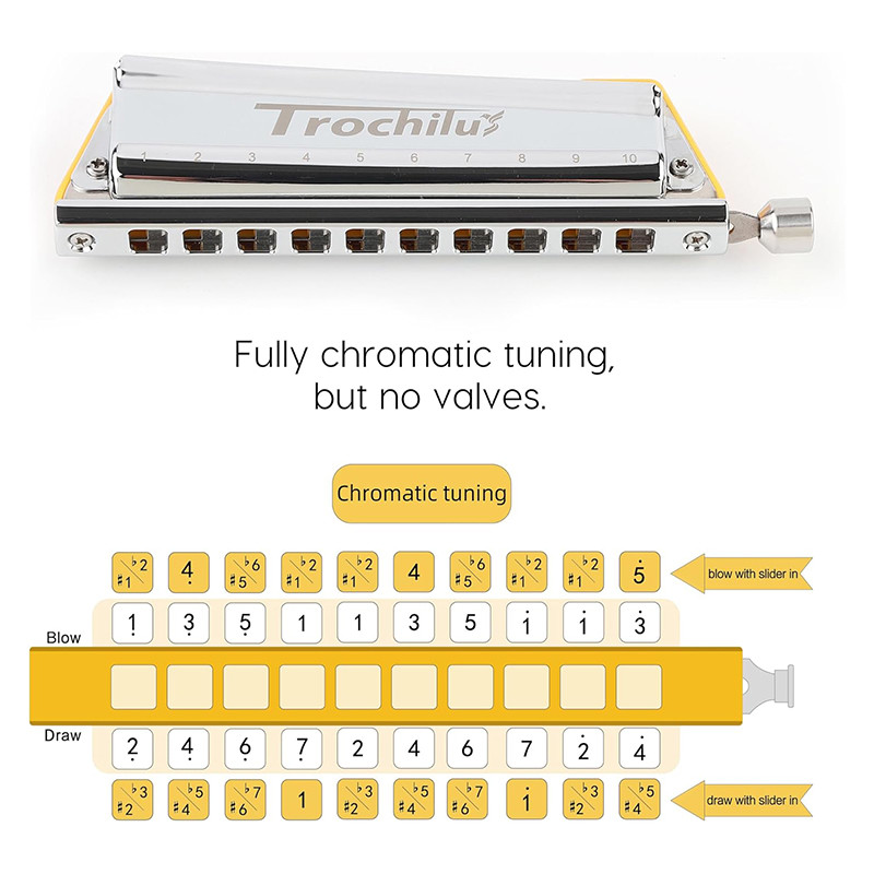 JDR Chromatic Trochilus Harmonica Chromatic Tuning 10 Holes Armonica Valveless Harp Key of C LF