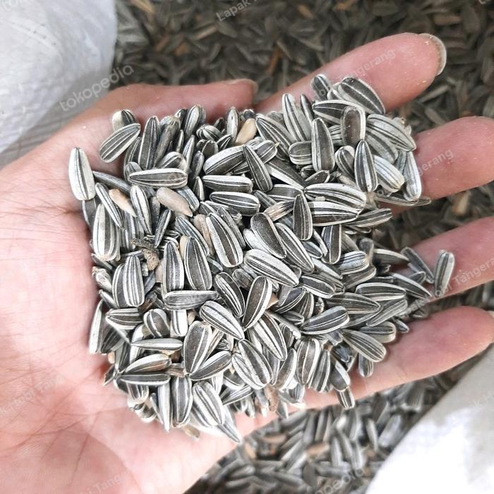 1 KG KUACI KWACI SUNFLOWER BIJI BUNGA MATAHARI HAMSTER BURUNG IMPORT