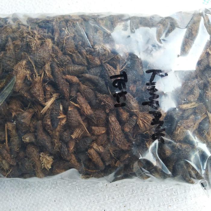 Rimpang Rumput Teki / Umbi Suket Teki , 1kg - Surabaya