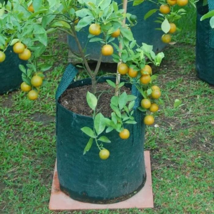 Planter Bag 35 Liter