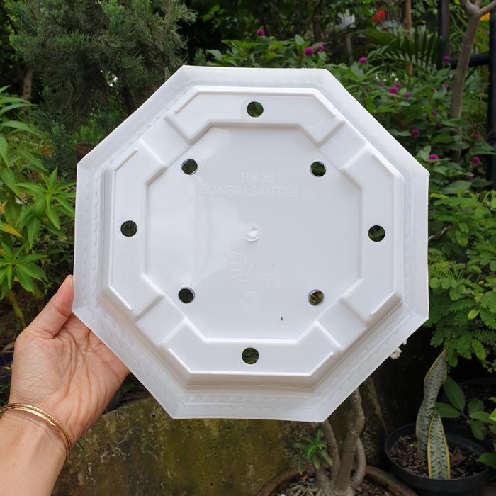 "New" Pot bonsai plastik 30 bulat ceper murah grosir
