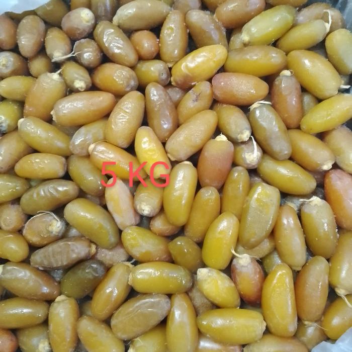 KURMA RUTHOB LIBYA SETENGAH MATENG FROZEN PROMIL 5 KG