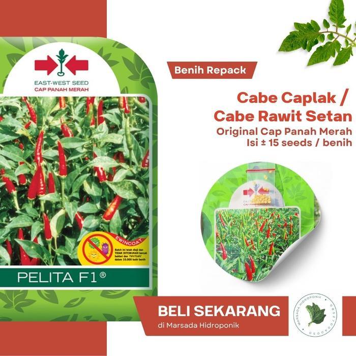 Bibit Benih Cabe Caplak / Cabe Japlak / Cabe Rawit Setan Cap Panah Merah Kemasan Repack isi 15 Benih