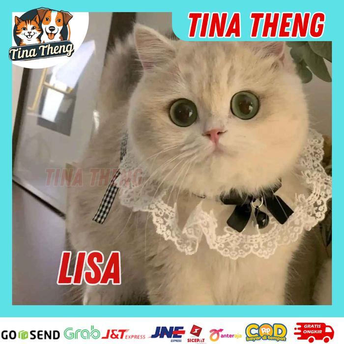 Pet Acessories Kain Nyaman Untuk Anabul Bandana Anjing Kucing Kalung Kucing Anjing Syal Anjing