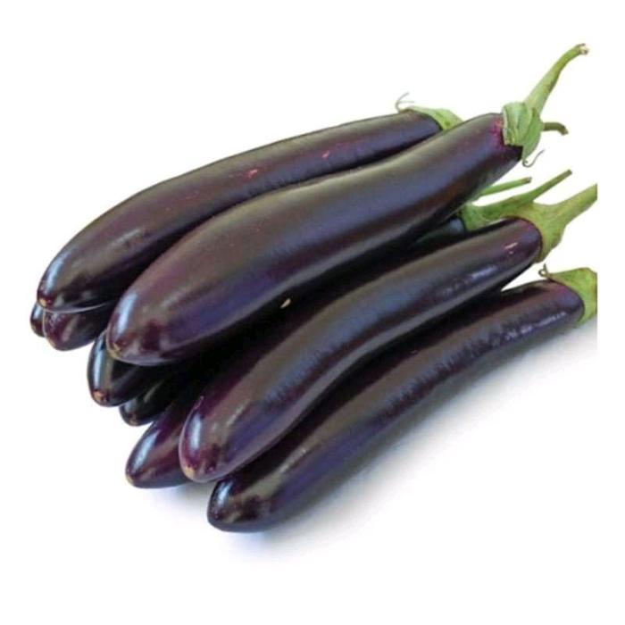 GARDENFARM - Benih Unggul Terong Ungu Unggul Benih Terong Biji Terong Bibit Terong Ungu Panjang