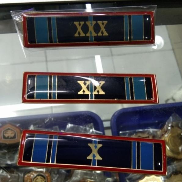 Tanda jasa PNS 10 Tahun lapis fiber (magnet)